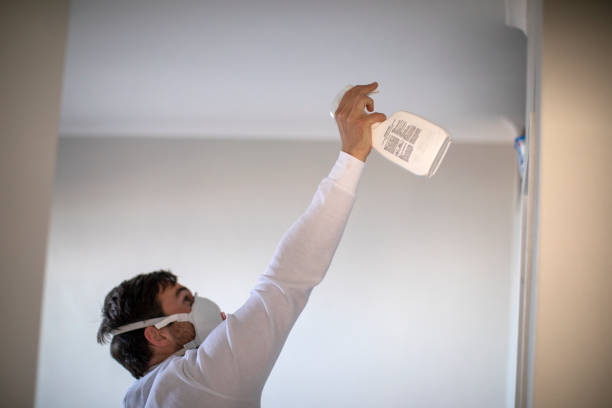 Best Professional Mold Removal  in Dansville, NY
