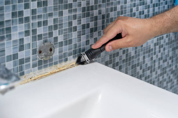 Best Emergency Mold Removal  in Dansville, NY